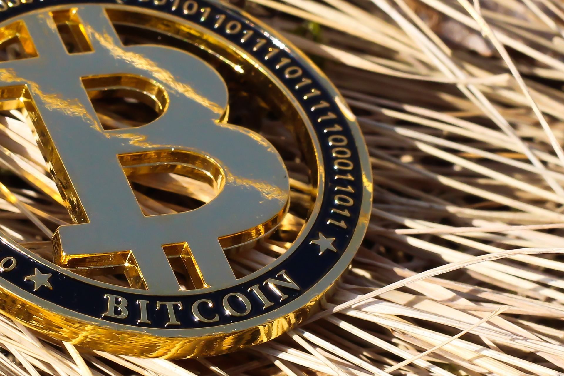 Bitcoin в картине: на аукцион выставят интересный арт-объект Bitcoin в картине: на аукцион выставят интересный арт-объект