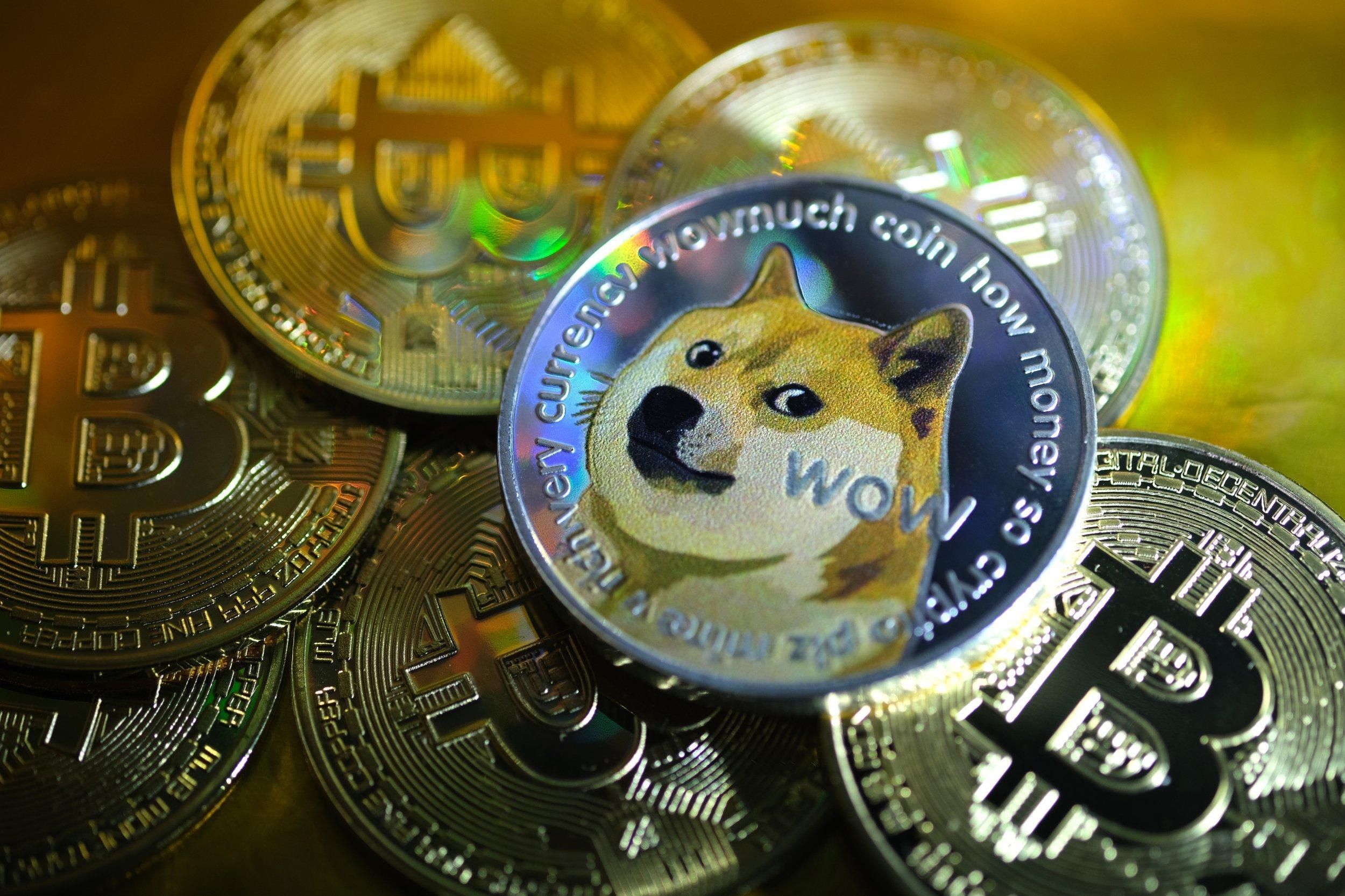 Dogecoin вырос на 1250% Dogecoin вырос на 1250%