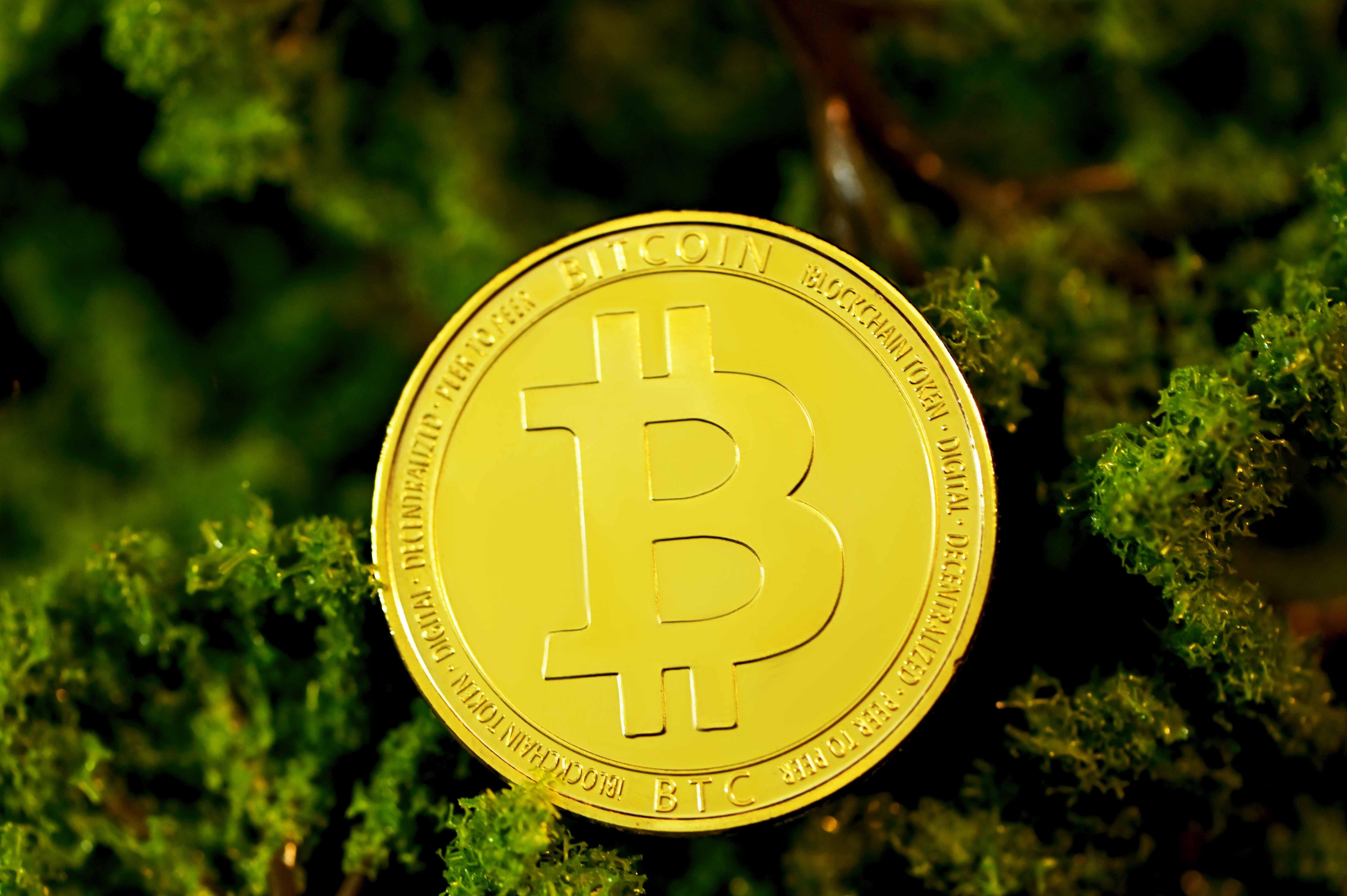 Прогноз для биткоина в 2021 году Прогноз для биткоина в 2021 году