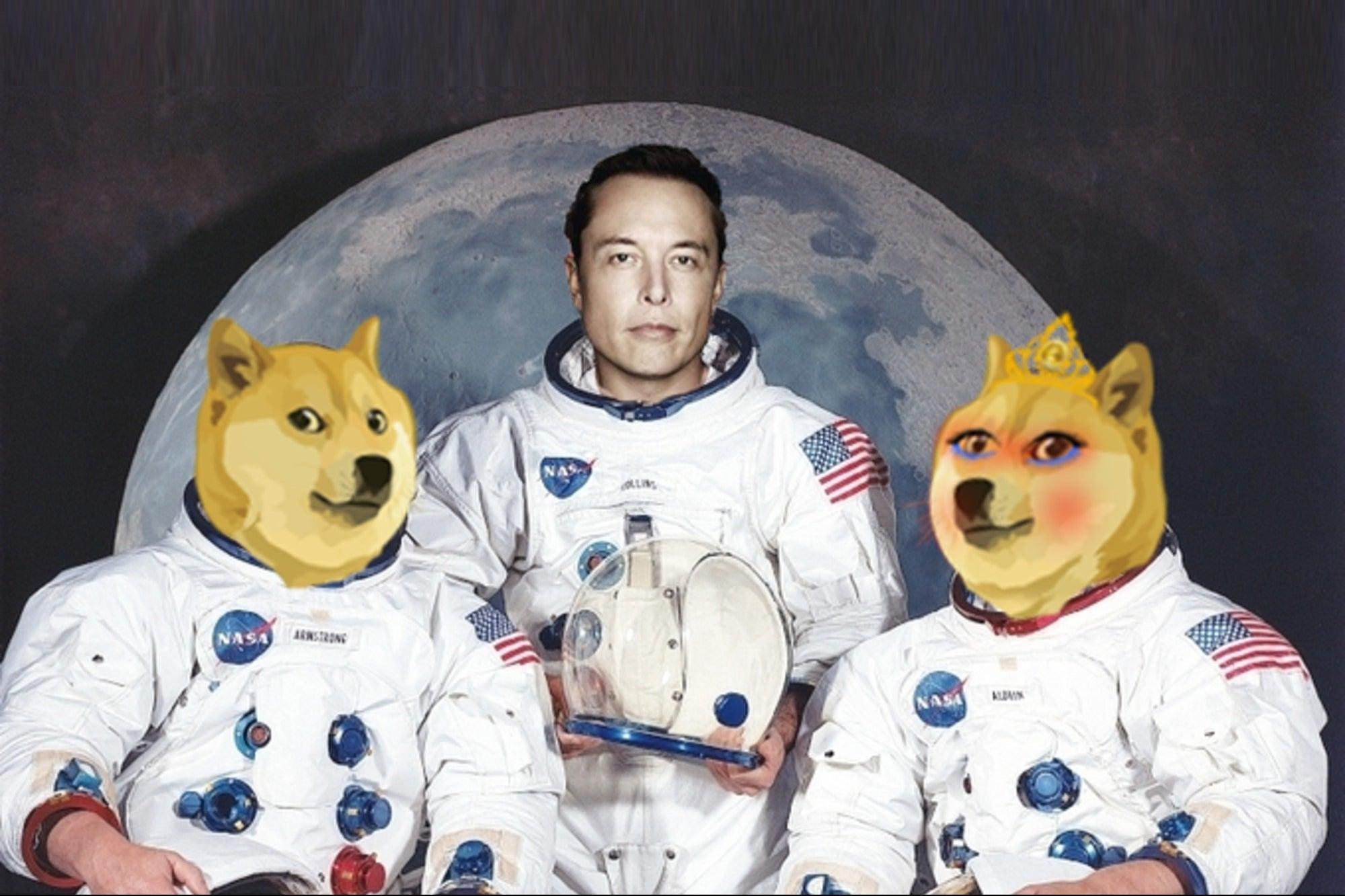 Новая фаворитка Илона Маска: "жена" Dogecoin выросла на 3000% за день - Новости мира - Финансы