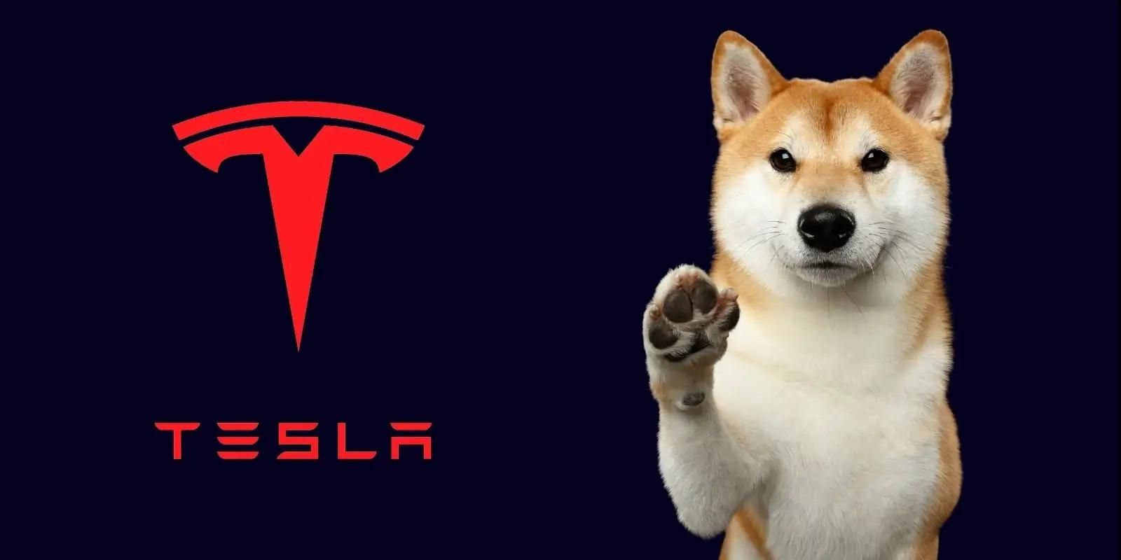 Dogecoin злетів в ціні після важливої заяви Ілона Маска про мерч Tesla - Фінанси Dogecoin злетів в ціні після важливої заяви Ілона Маска про мерч Tesla - Фінанси
