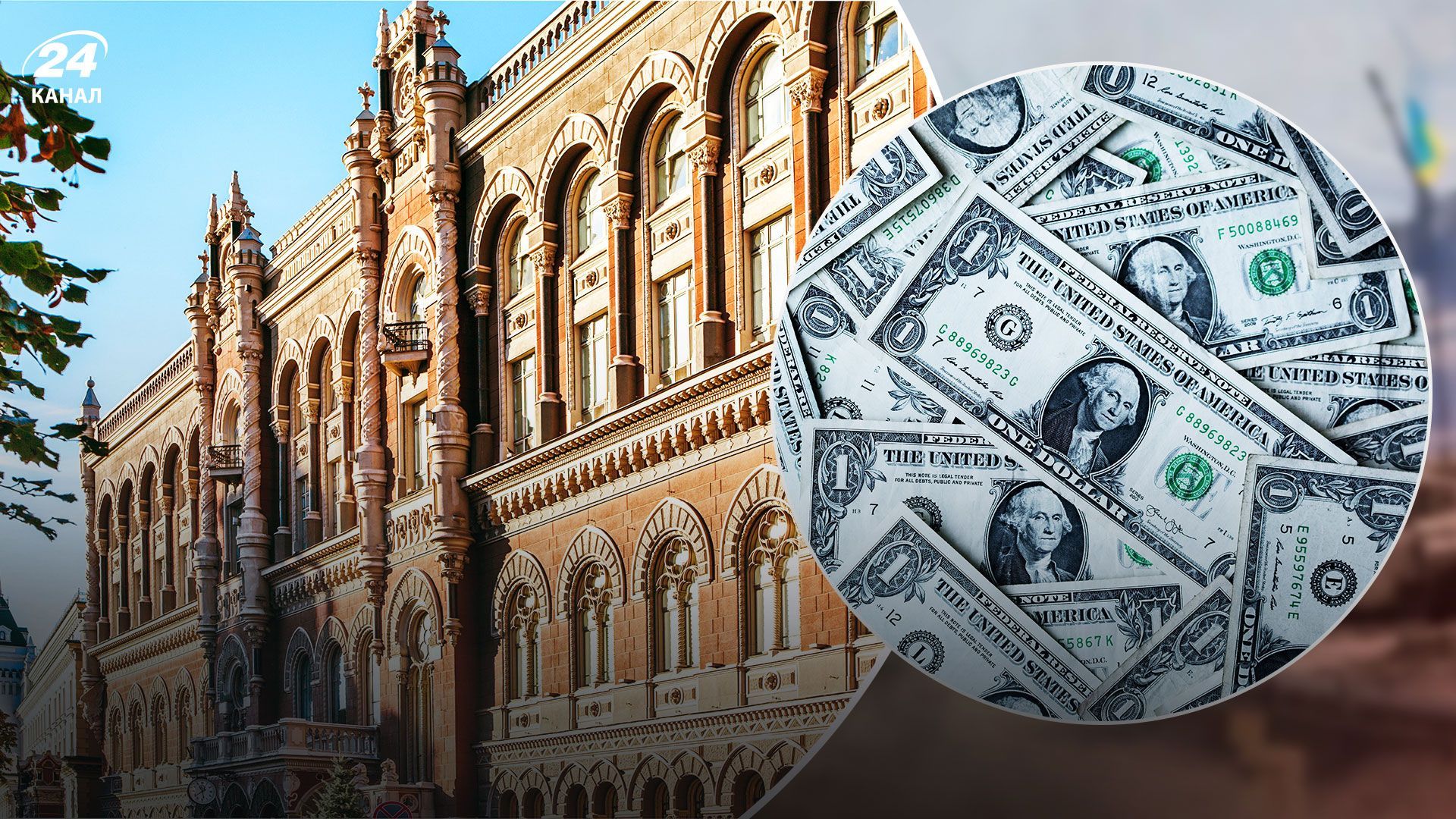 "Отпустит" ли НБУ курс доллара во время войны "Отпустит" ли НБУ курс доллара во время войны