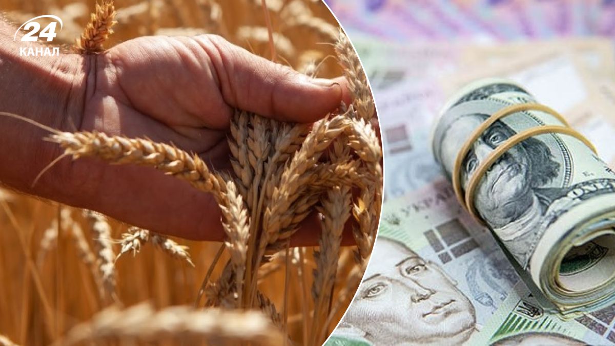 Стоимость пшеницы выросла