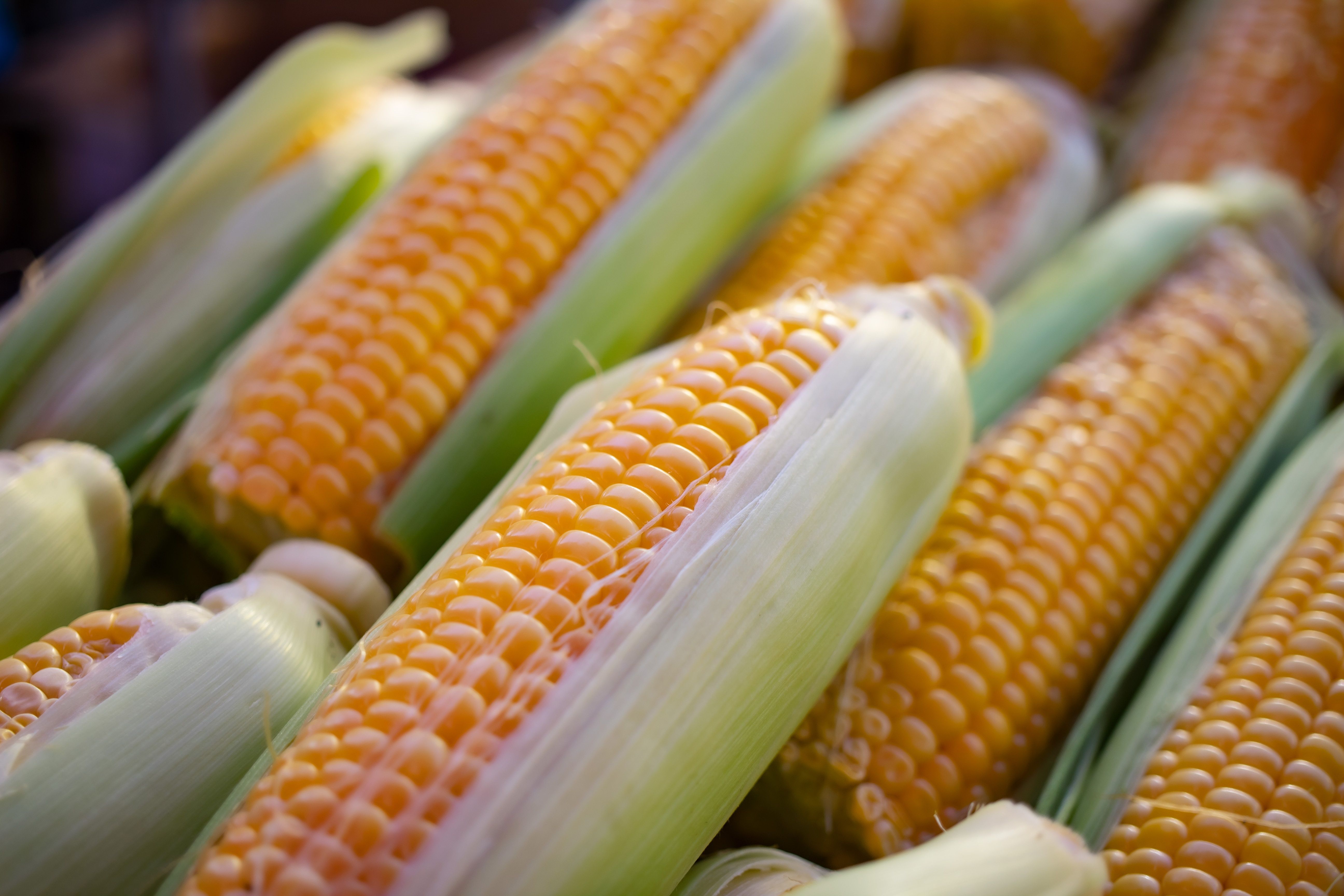 Обвал цен на кукурузу