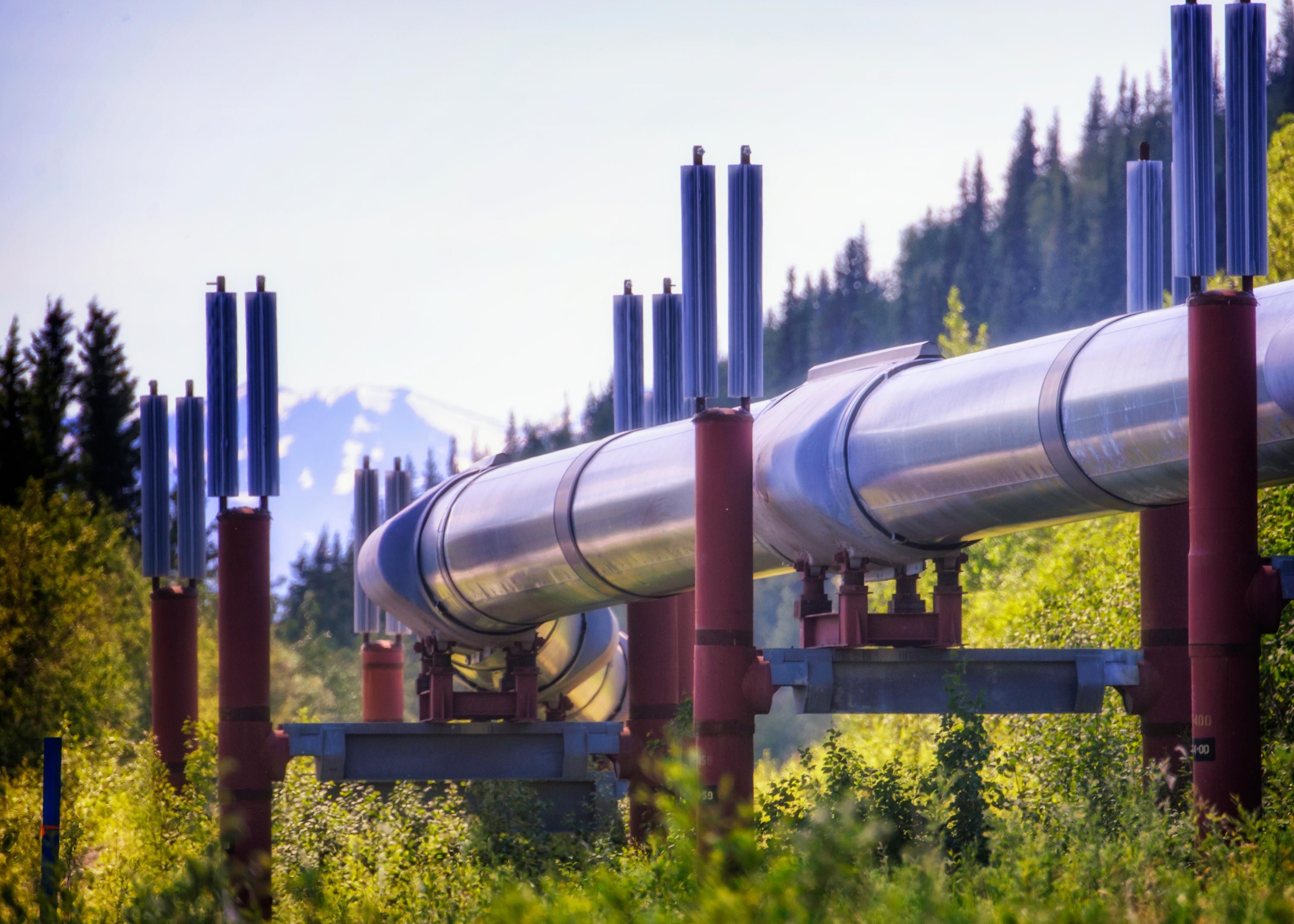 Імпорт російських газу та нафти до Словаччини