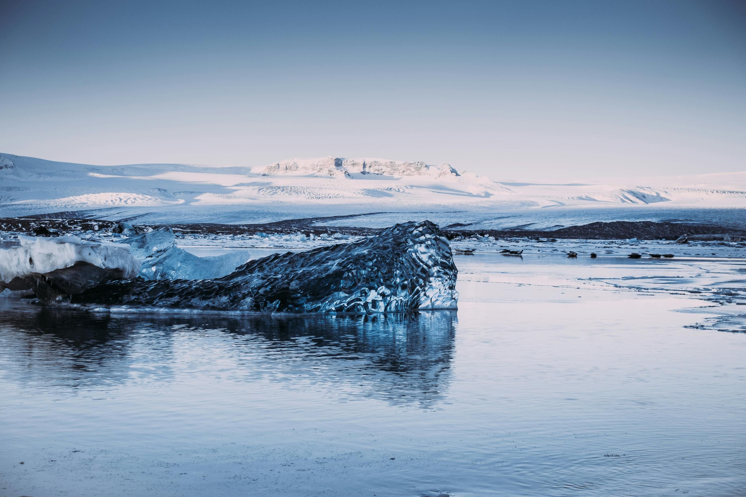 Де найбільше нафти у світі - чому в Арктиці може бути найбільше нафти, де саме Де найбільше нафти у світі - чому в Арктиці може бути найбільше нафти, де саме