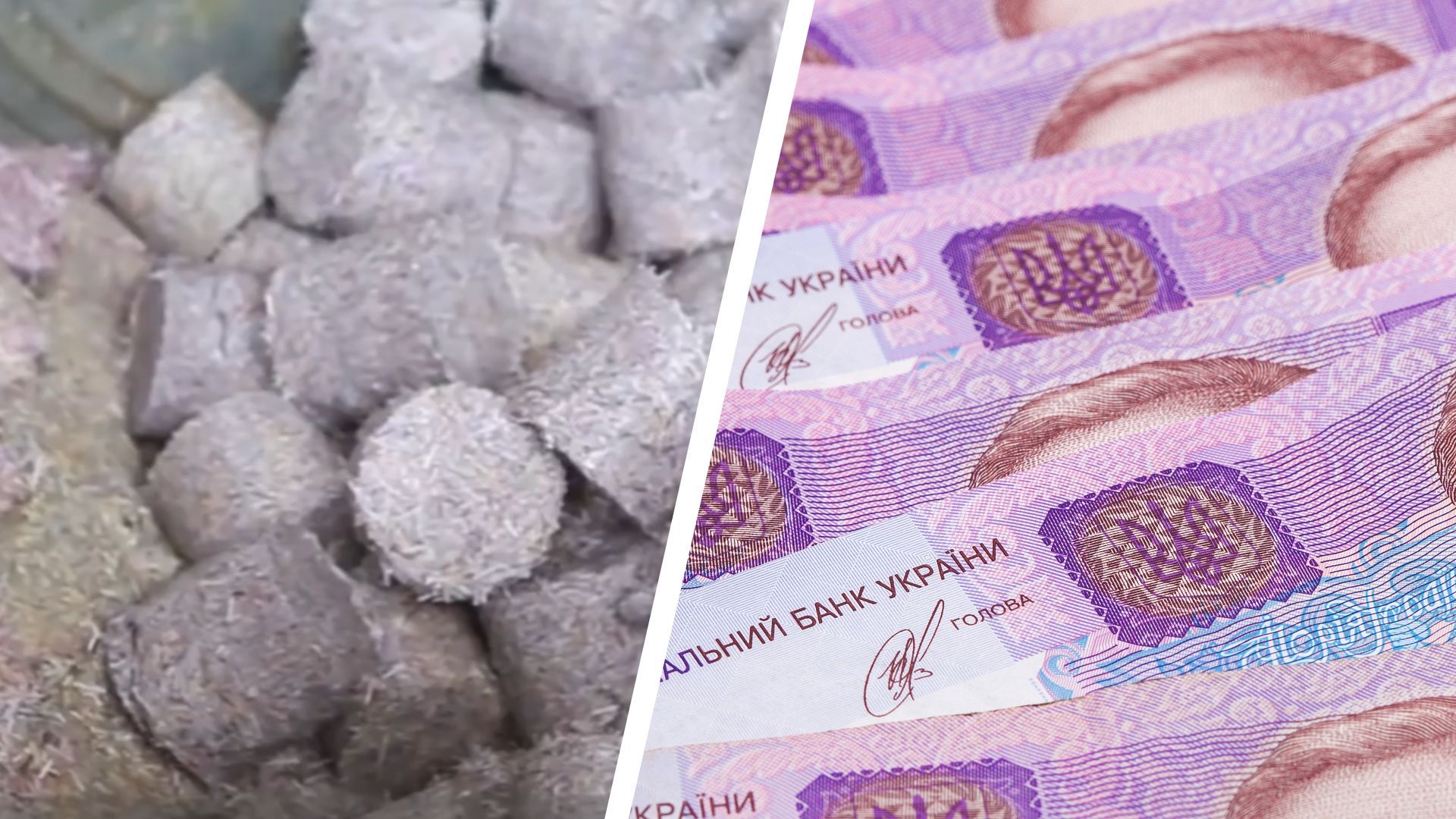 Старі купюри гривні утилізують в НБУ Старі купюри гривні утилізують в НБУ