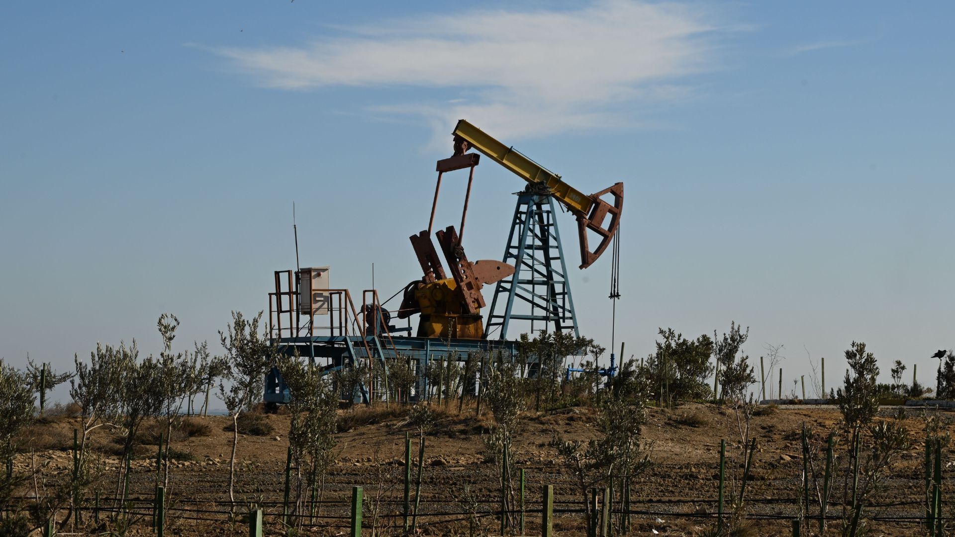 Добыча нефти в июле 2026 года Добыча нефти в июле 2026 года