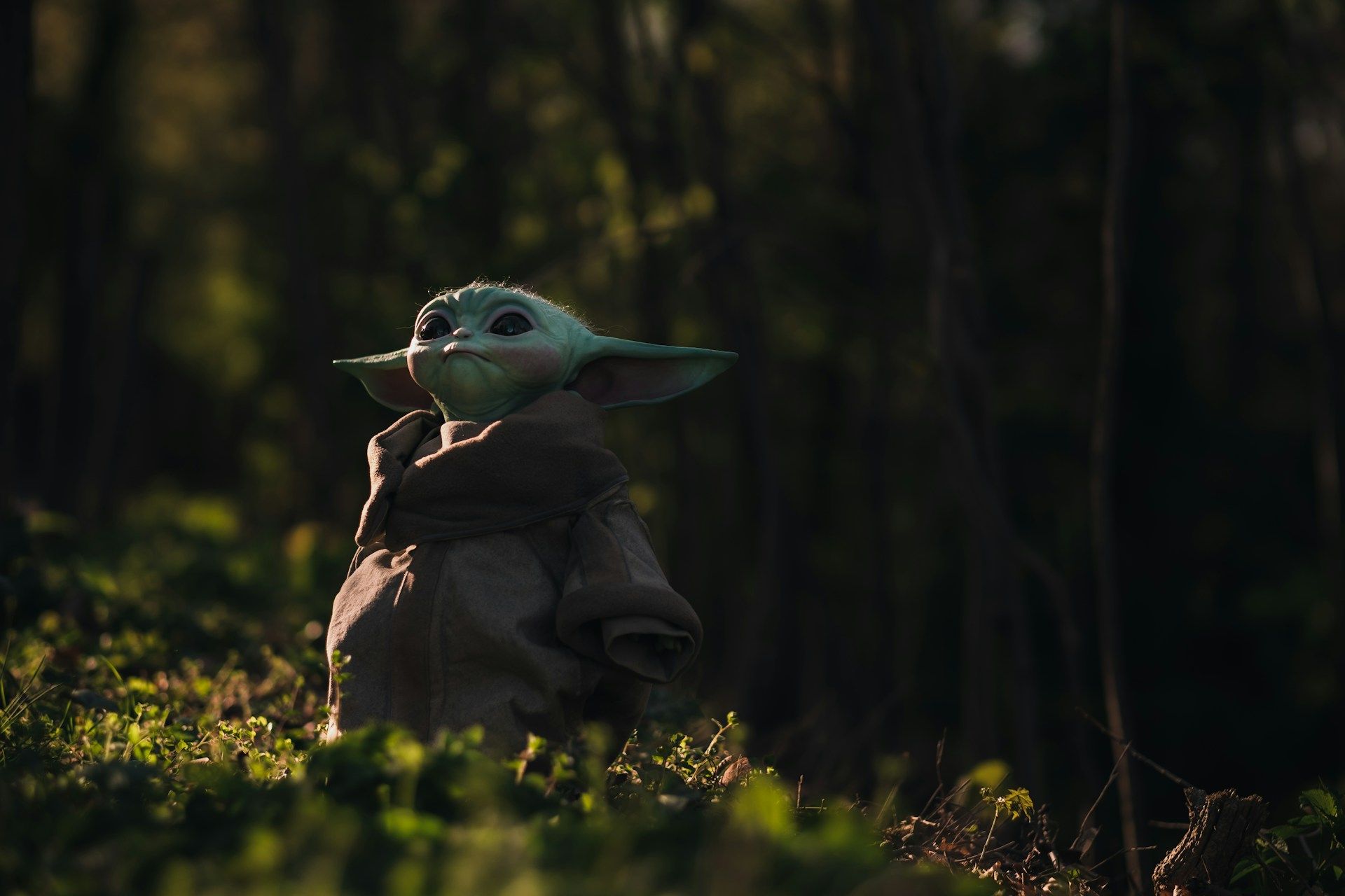 Найкраща угода Disney